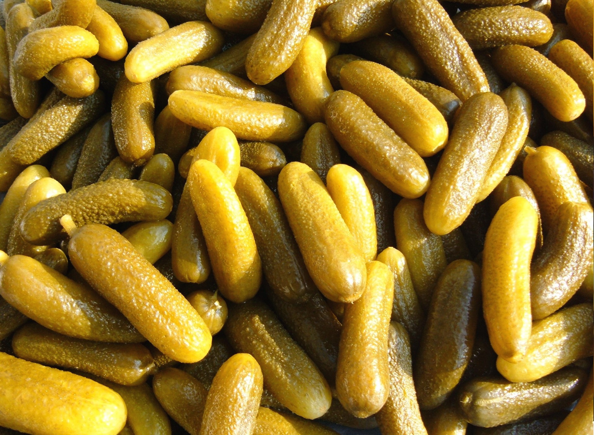 fogyókúrás rágcsálnivaló